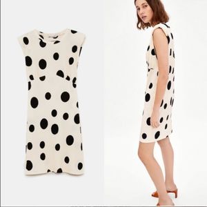 Zara Trafaluc Ivory Polka Dot Dress Size Small
